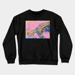 Macaw 3 Crewneck Sweatshirt